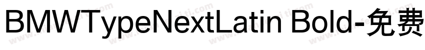 BMWTypeNextLatin Bold字体转换
